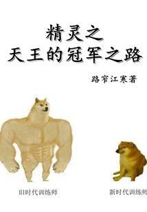 精灵之天王的冠军之路